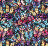 Flight of Beauty Collection-Whispering Wings-Multi-16240402-01