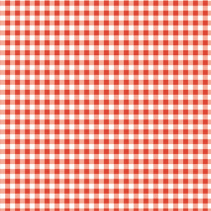 Printed  Tandoori Gingham Fabric - 65 %Poly  35%Cotton
