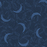 Celeste Collection-Moondust-Navy-21192201-04