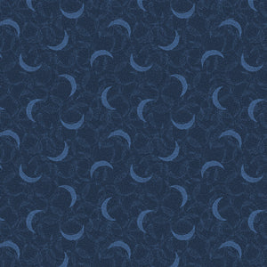 Celeste Collection-Moondust-Navy-21192201-04