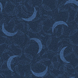 Celeste Collection-Moondust-Navy-21192201-04