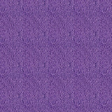 Confetti Fun Collection-Solid Sprinkles-21250408-03