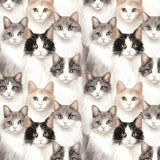 Paw & Whisker Collection-Shorthaired Cats-21250601-01