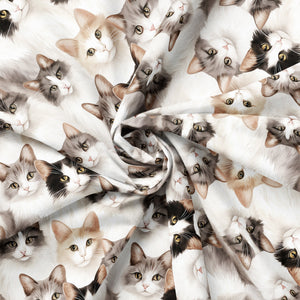 Paw & Whisker Collection-Shorthaired Cats-21250601-01