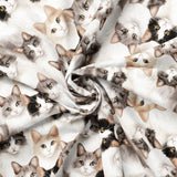 Paw & Whisker Collection-Shorthaired Cats-21250601-01