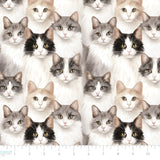 Paw & Whisker Collection-Shorthaired Cats-21250601-01