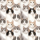 Paw & Whisker Collection-Shorthaired Cats-21250601-01