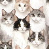 Paw & Whisker Collection-Shorthaired Cats-21250601-01
