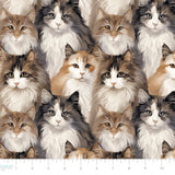 Paw & Whisker Collection-Longhaired Cats-21250602-01