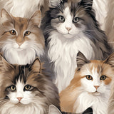 Paw & Whisker Collection-Longhaired Cats-21250602-01