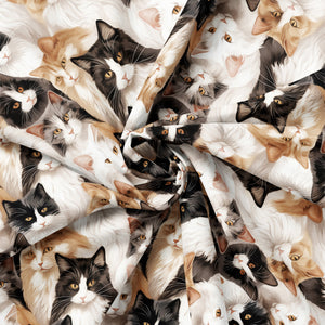 Paw & Whisker Collection-Not A-mew-sed-21250603-01