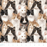 Paw & Whisker Collection-Not A-mew-sed-21250603-01