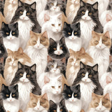 Paw & Whisker Collection-Not A-mew-sed-21250603-01