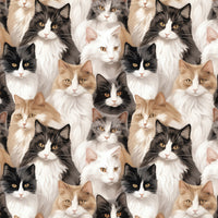 Paw & Whisker Collection-Not A-mew-sed-21250603-01