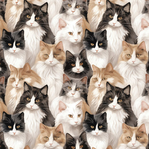 Paw & Whisker Collection-Not A-mew-sed-21250603-01