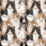 Paw & Whisker Collection-Not A-mew-sed-21250603-01