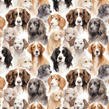 Paw & Whisker Collection-Man's Best Friend-21250604-01