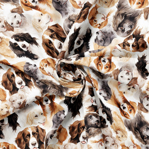Paw & Whisker Collection-Man's Best Friend-21250604-01