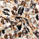 Paw & Whisker Collection-Man's Best Friend-21250604-01