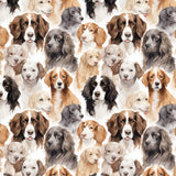 Paw & Whisker Collection-Man's Best Friend-21250604-01