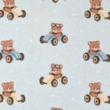 Fleece and Flannel 2026 Catalog-Racing Teddies-Cotton Flannel-21251405B-02
