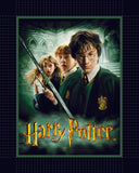 Harry Potter - Chamber Of Secrets NST - No Sew Throw - Fleece - Multi