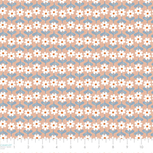 Daisy Dukes Collection-Daisy Rows-100% Cotton-Peach-27230202-01