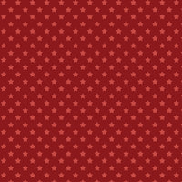 Howdy Partner Collection-Starry Trails-Red-58240608-01