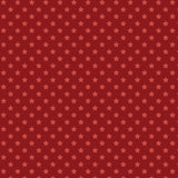 Howdy Partner Collection-Starry Trails-Red-58240608-01