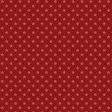 Howdy Partner Collection-Starry Trails-Red-58240608-01