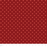 Howdy Partner Collection-Starry Trails-Red-58240608-01