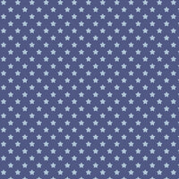 Howdy Partner Collection-Starry Trails-Denim-58240608-02