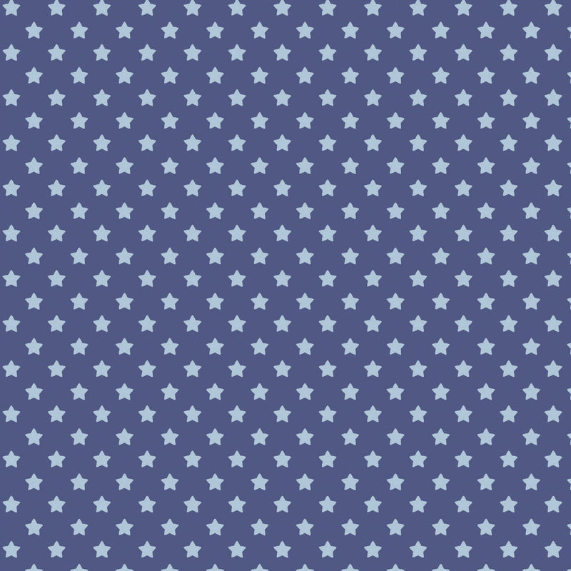 Howdy Partner Collection-Starry Trails-Denim-58240608-02