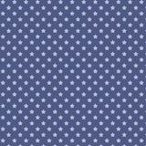 Howdy Partner Collection-Starry Trails-Denim-58240608-02