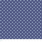 Howdy Partner Collection-Starry Trails-Denim-58240608-02