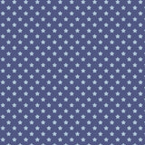 Howdy Partner Collection-Starry Trails-Denim-58240608-02