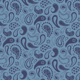 Howdy Partner Collection-Prairie Paisley-Chambray-58240609-02