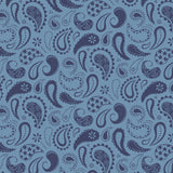 Howdy Partner Collection-Prairie Paisley-Chambray-58240609-02