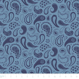 Howdy Partner Collection-Prairie Paisley-Chambray-58240609-02