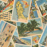 Palm Paradise Collection-Florida Postcards-Multi-66240301-01