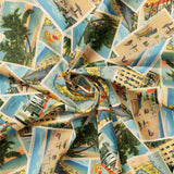 Palm Paradise Collection-Florida Postcards-Multi-66240301-01