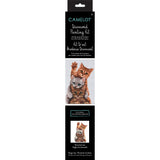 Kitten Ambush Diamond Painting Kit-CD212300805