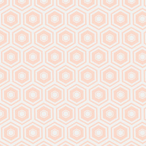 Mixology Coordinates - Honeycomb - Blush