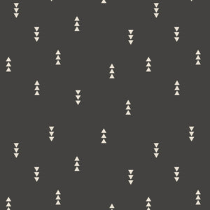 Nordic triangles- Carbon