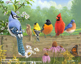 Figured'Art Peintures par numeros - Ensemble Cadre Oiseaux sur la barrière