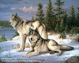 Figured'Art Painting by numbers - Wolves Frame  Kit
