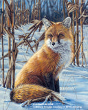 Figured'Art Painting by numbers - Fox in the snow Frame Kit