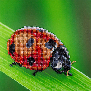 Diamond Art Lady Bug